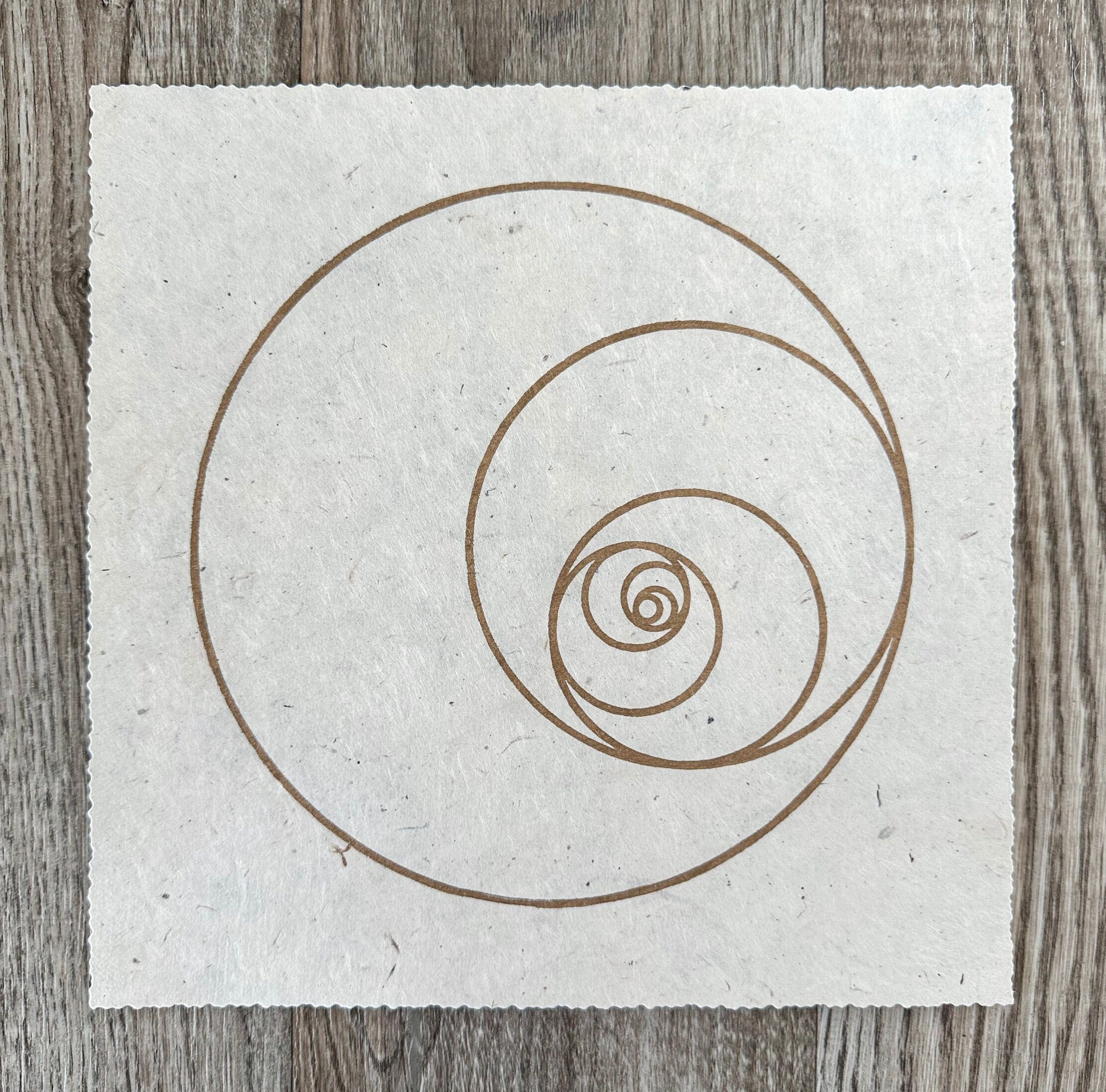 Color Wheel Fibonacci Spiral Vector Line Art 4-pack Digital Wall