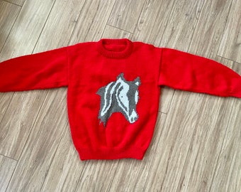 Childrens Horse Head with Googly Eyes Handknit Sweater