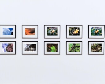 Nature blue and orange skies trees plants leaves flora Custom Photo Print Series of Shillong Meghalaya India - Set of 10