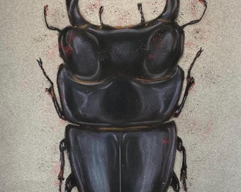 Black Stag Beetle Drawing in Soft Pastel, Original Soft Pastel 11.7 inch x 16.5 inch (A3 size)