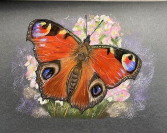 Pfau Schmetterling Zeichnung in Soft Pastel, Original Soft Pastel 32 cm x 42 cm (A3)