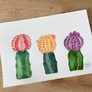 Dipinto ad acquerello di cactus, varietà di cactus Gymnocalycium, dipinto di varietà di cactus, pittura botanica, cactus da interno