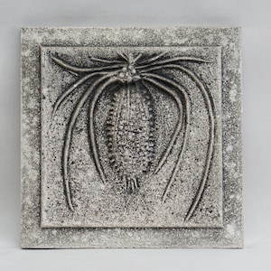 May include: A framed, grey and white, textured relief sculpture of a fossilised trilobite.