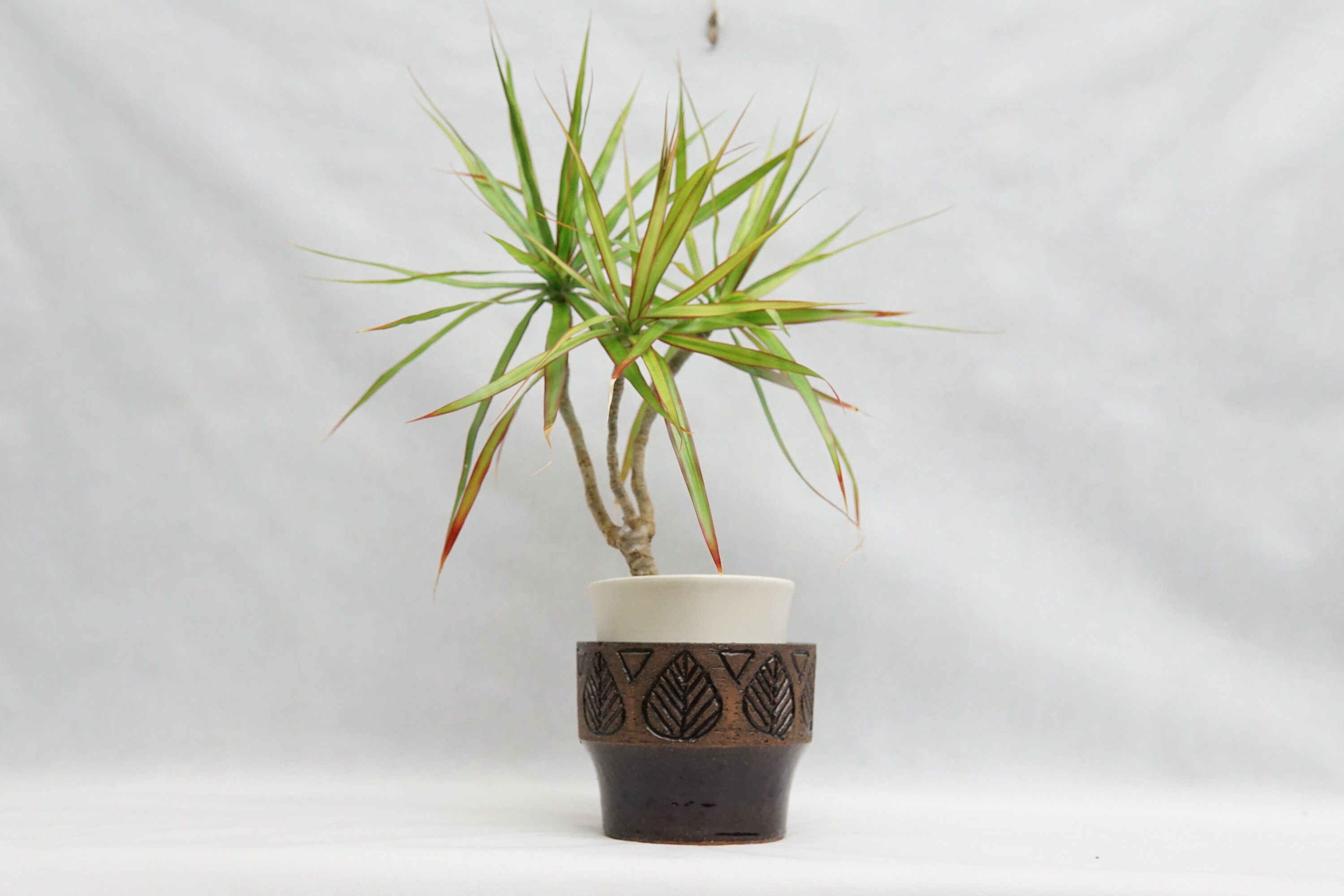 ヴィンテージ LAHOLM セラミック フラワー ポット プランター