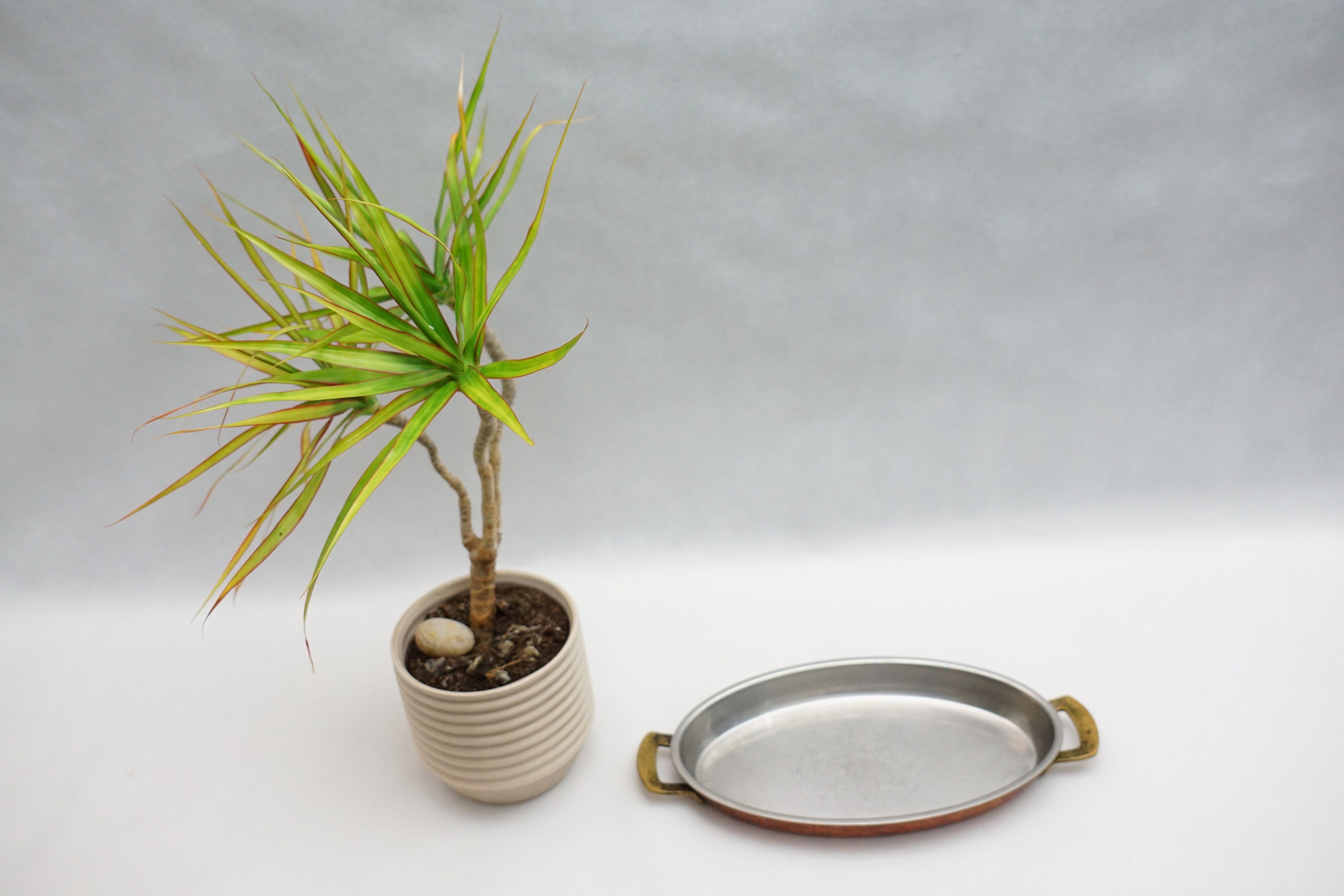 Vintage Swiss SPRING CULINOX Copper Steel Oven Dish - Etsy