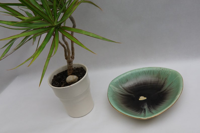 Puede incluir: Un plato de cer&aacute;mica verde y negro con un borde dorado. El plato tiene forma ovalada y presenta un patr&oacute;n de espiral. El plato est&aacute; sobre una superficie blanca.
