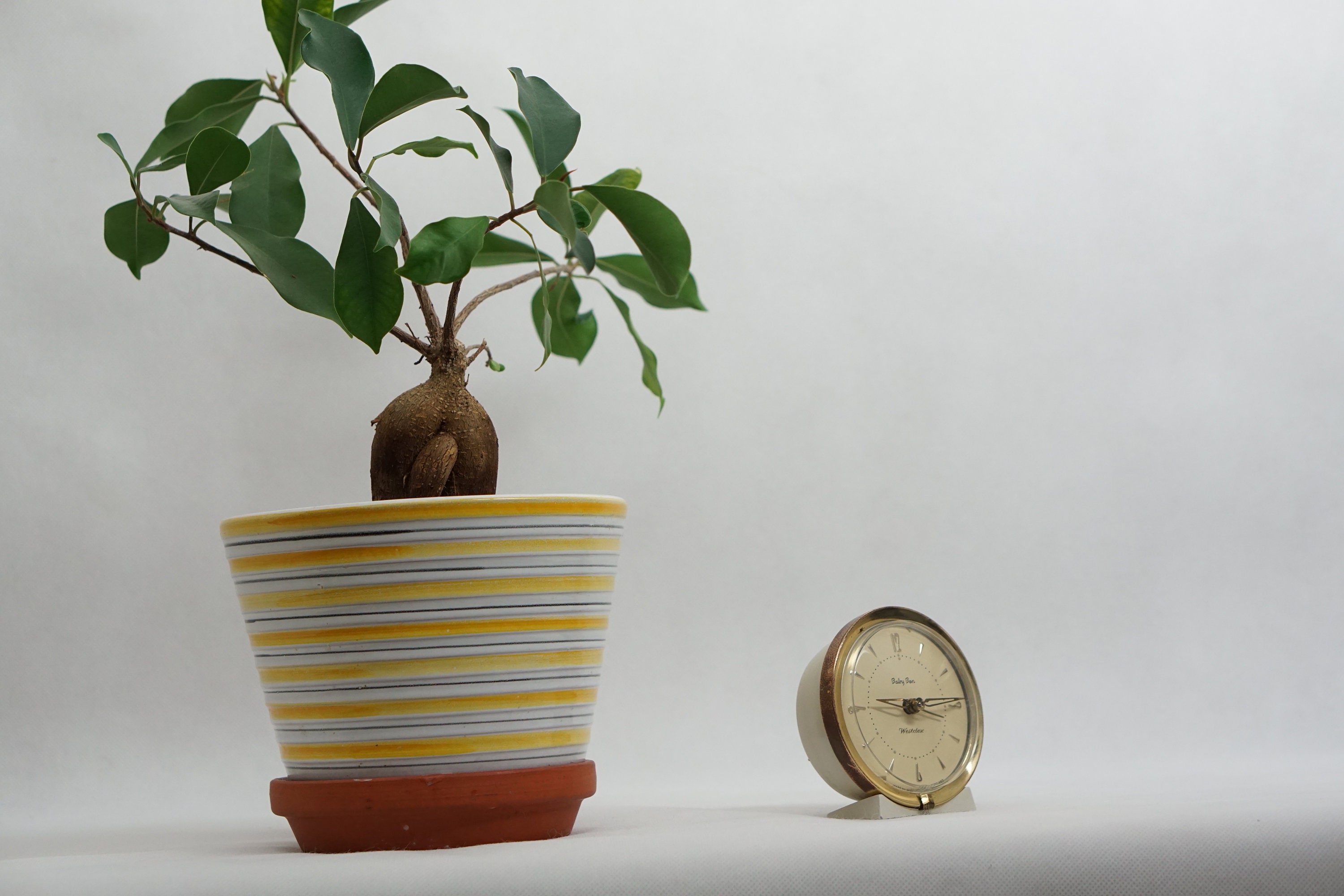 Mid Century Vintage BABY BEN WESTCLOX Scotish Alarm Clock