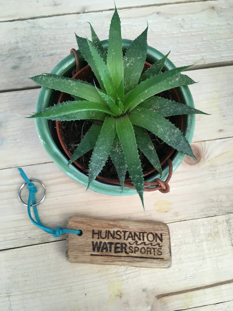 Pu&ograve; includere: Una pianta succulenta verde in un vaso di ceramica verde abbinato con un gancio in pelle marrone, accompagnata da un portachiavi rettangolare in legno con il testo inciso HUNSTANTON WATER SPORTS e un cordino blu brillante con anello in metallo.