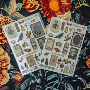 Curiosities Sticker Sheet: vintage ephemera and gothic inspired images printed on matte paper perfect for scrapbooking and craft projects. image 1
