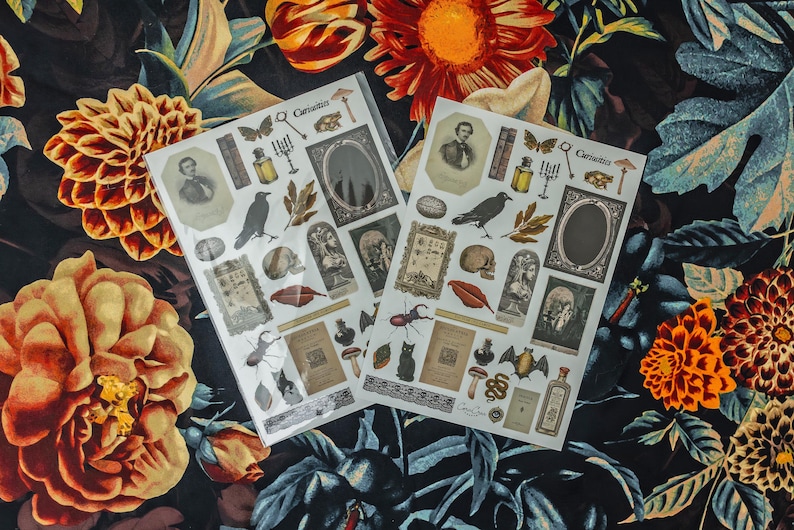 Curiosities Sticker Sheet: vintage ephemera and gothic inspired images printed on matte paper perfect for scrapbooking and craft projects. image 1
