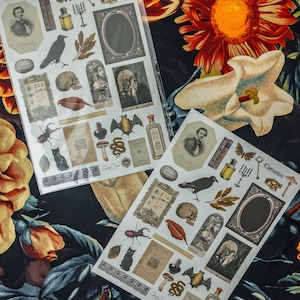 Curiosities Sticker Sheet: vintage ephemera and gothic inspired images printed on matte paper perfect for scrapbooking and craft projects. image 4