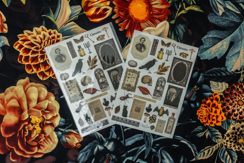 Curiosities Sticker Sheet: vintage ephemera and gothic inspired images printed on matte paper perfect for scrapbooking and craft projects. image 5