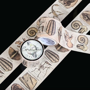 Fossils Washi Tape, Decorative Craft Vintage Label Tape for Junk Journaling, Scrapbooking, Paper Crafts