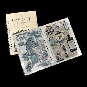 Cabinet of Curiosities Sticker Book Stickers Transparent Art Journaling Scrapbooking Junk Journal Planner Notebook Ephemera