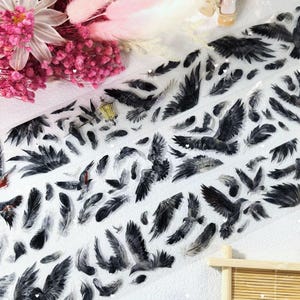 May include: Decorative washi tape featuring a repeating pattern of black bird wings and feathers. The tape has a transparent background, allowing the design to be layered. The design includes a small, yellow lantern and is suitable for scrapbooking and crafts.
