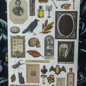 Curiosities Sticker Sheet: vintage ephemera and gothic inspired images printed on matte paper perfect for scrapbooking and craft projects. image 8