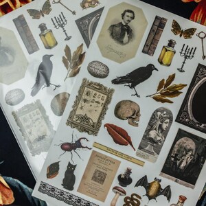 Curiosities Sticker Sheet: vintage ephemera and gothic inspired images printed on matte paper perfect for scrapbooking and craft projects. image 7