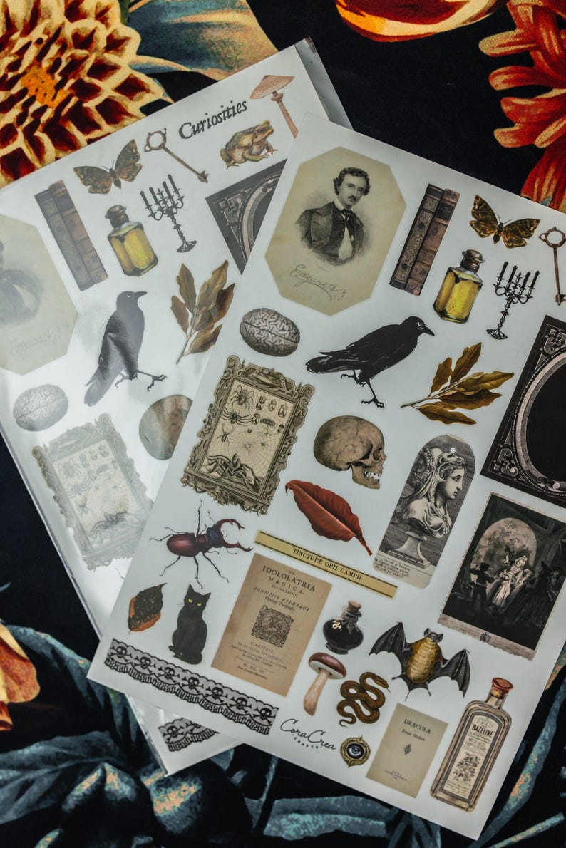Curiosities Sticker Sheet: vintage ephemera and gothic inspired images printed on matte paper perfect for scrapbooking and craft projects. image 7