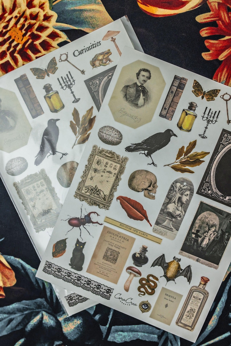 Curiosities Sticker Sheet: vintage ephemera and gothic inspired images printed on matte paper perfect for scrapbooking and craft projects. image 3