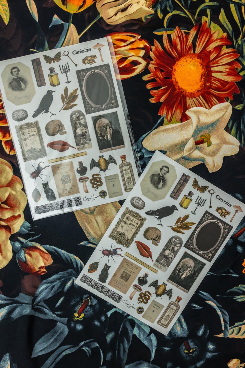 Curiosities Sticker Sheet: vintage ephemera and gothic inspired images printed on matte paper perfect for scrapbooking and craft projects. image 6