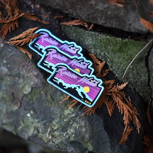 May include: Three blue and pink patches with the text "Rainier Watch" and a mountain range graphic. The patches are stacked on top of each other on a rock surface.