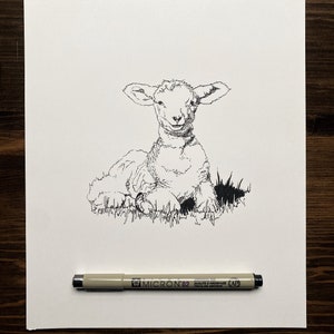 Lamb illustration high quality postcard print by brotherjordz; darkart and pointillism; nature