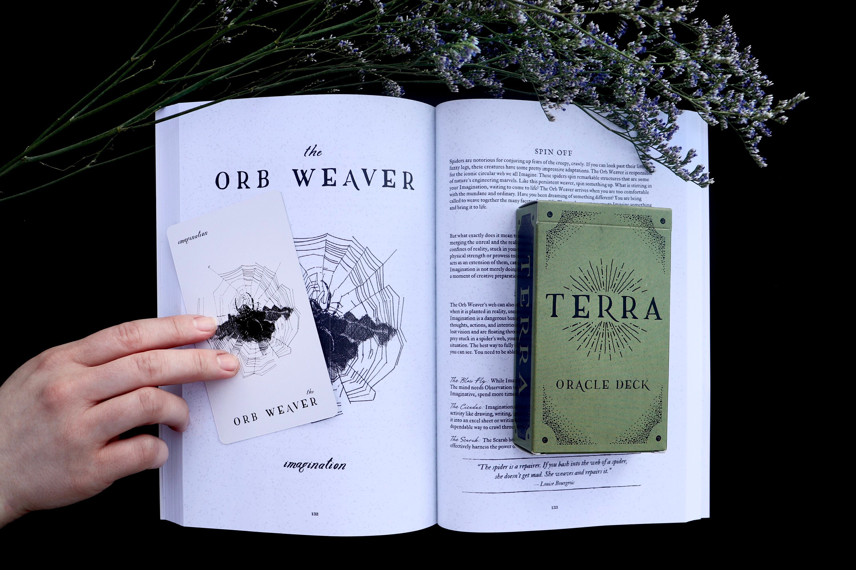 Terra Oracle Deck And Guidebook | Oracle Card Deck with Book | Deck +…