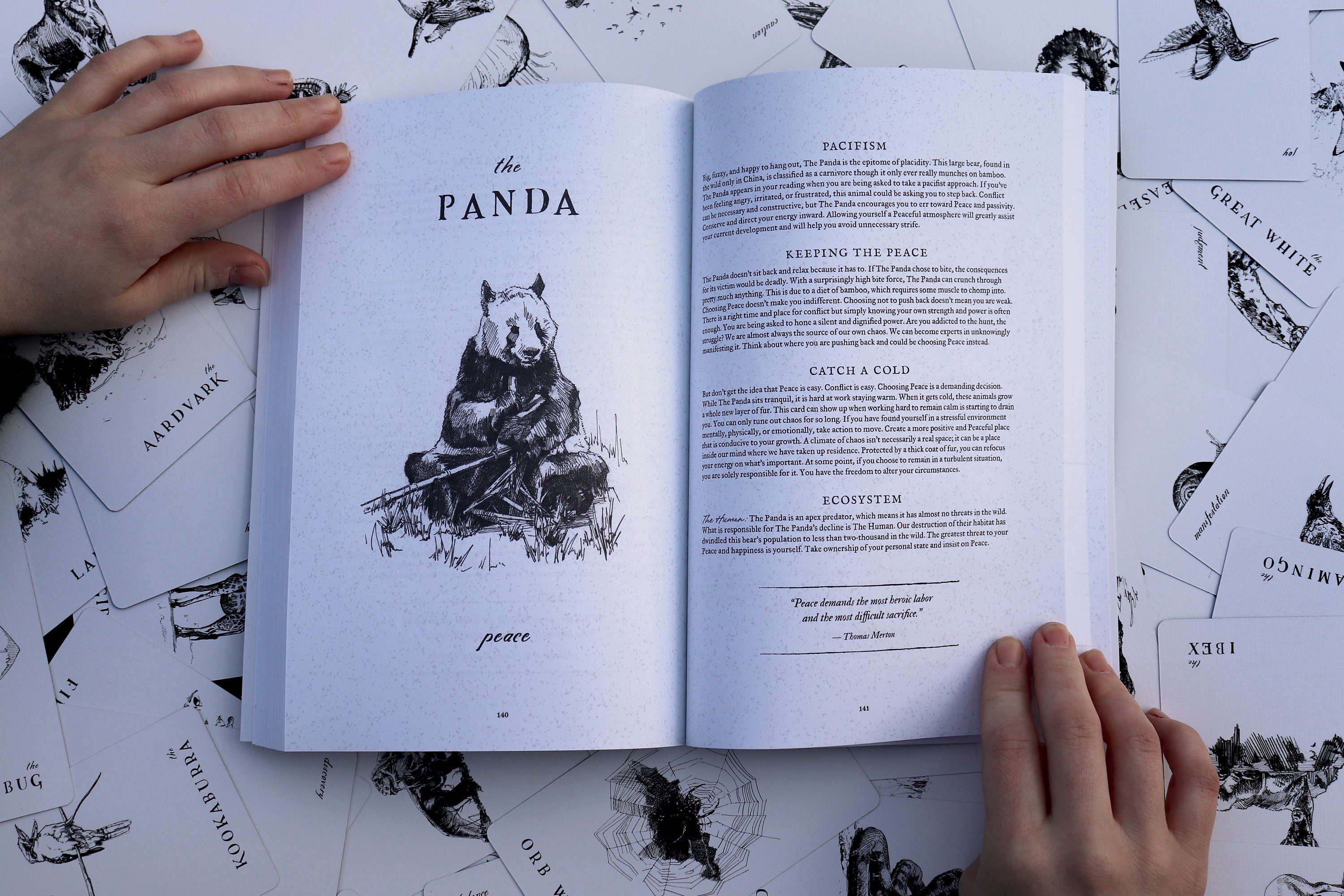 Terra Oracle Guidebook