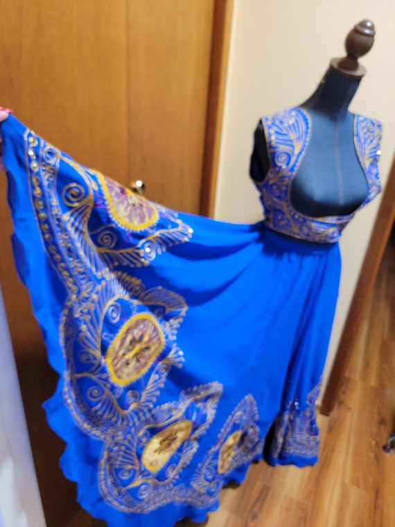 Bollywood or Bellydance Costume - image 2