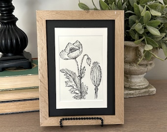 Pen and Ink Poppy Original Drawing 4 x 5 Botanical Like Drawing Light Cream Background Pen and Ink Shelf Sitter Art
