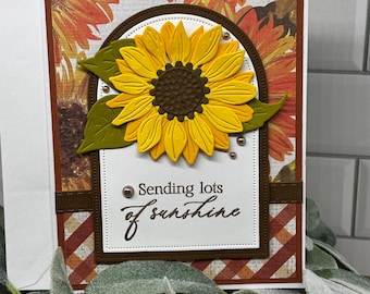 Sending Sunshine A2 card kit (4)