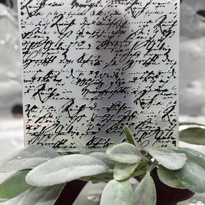 May include: A rectangular, frosted glass panel with black script writing. The panel is positioned in front of a sprig of sage leaves with a burgundy base. The script appears to be an old handwritten letter.