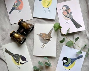 Tarjetas de notas con aves de jardín británico: láminas artísticas pintadas