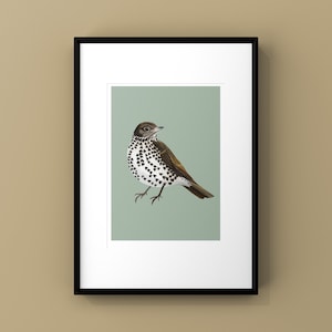 Impresión y tarjetas de Zorzal común, regalo para amantes de las aves y la naturaleza, tarjeta hecha a mano, impresión artística, decoración de pared para el hogar, regalo artístico para amantes de la vida silvestre