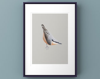 Nuthatch Print & Cards - Bird prints, artist prints, gifts for her, gifts for him, nature prints, artist cards, handmade cards, notecards