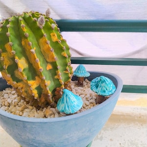 Cogumelos de cerâmica feitos à mão, cogumelos de fadas, decoração de terraço, decoração ao ar livre, decoração de casa, cogumelos para vaso, acessório de jardim