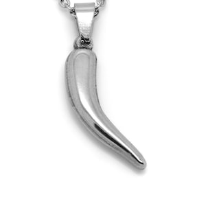 Chile Pepper Charm Necklace in Stainless Steel, Chili Fruit Pendant, Spicy Food Jewelry