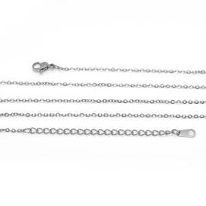 May include: A silver chain necklace with a lobster clasp and an extension chain.