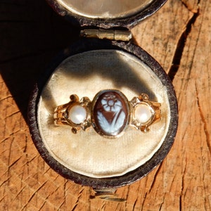 May include: A gold ring featuring a cameo of a flower in a brown and white setting. The ring is set with two white pearls on either side of the cameo.
