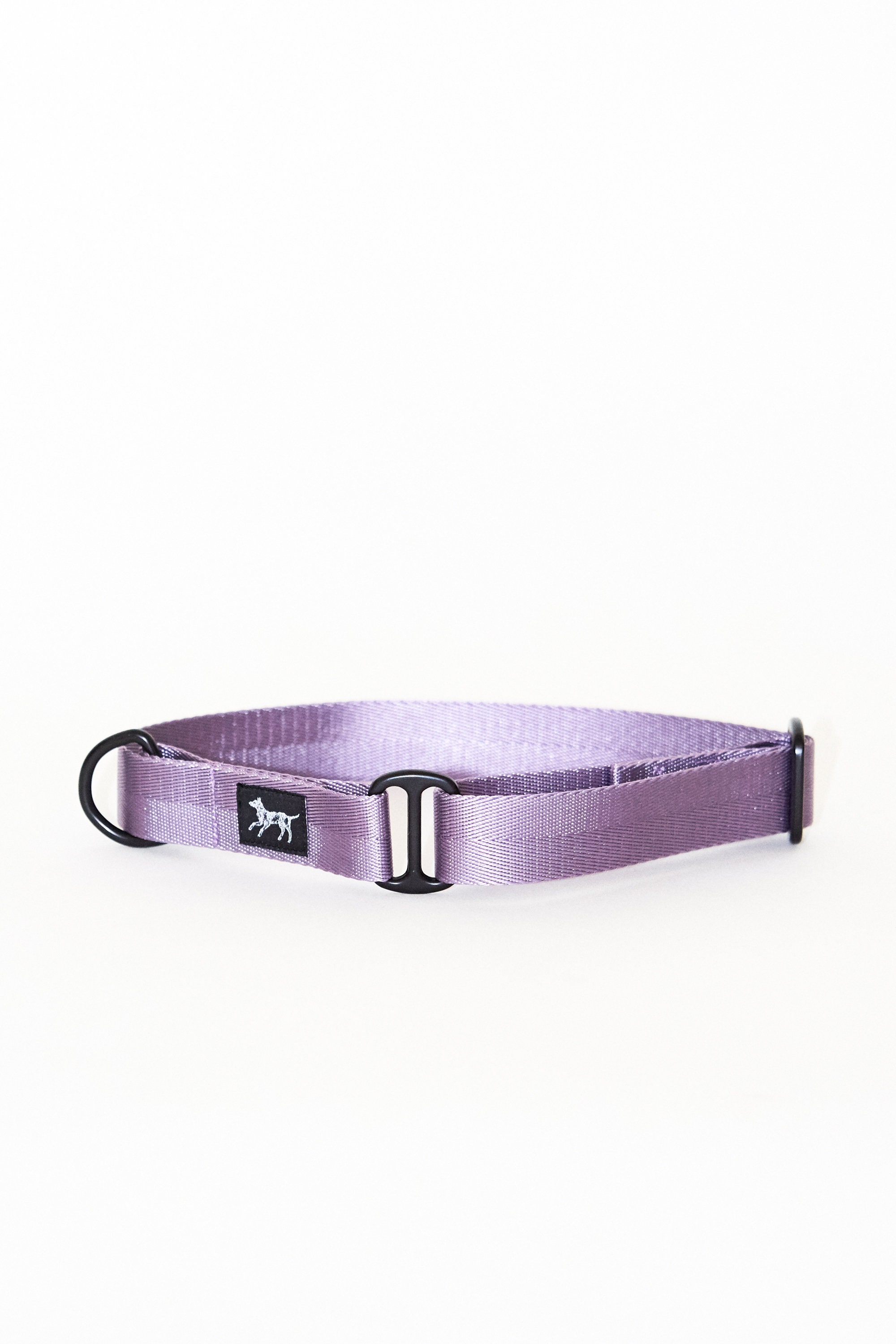 Collier Mâtin Dogs Slide-On - Lila