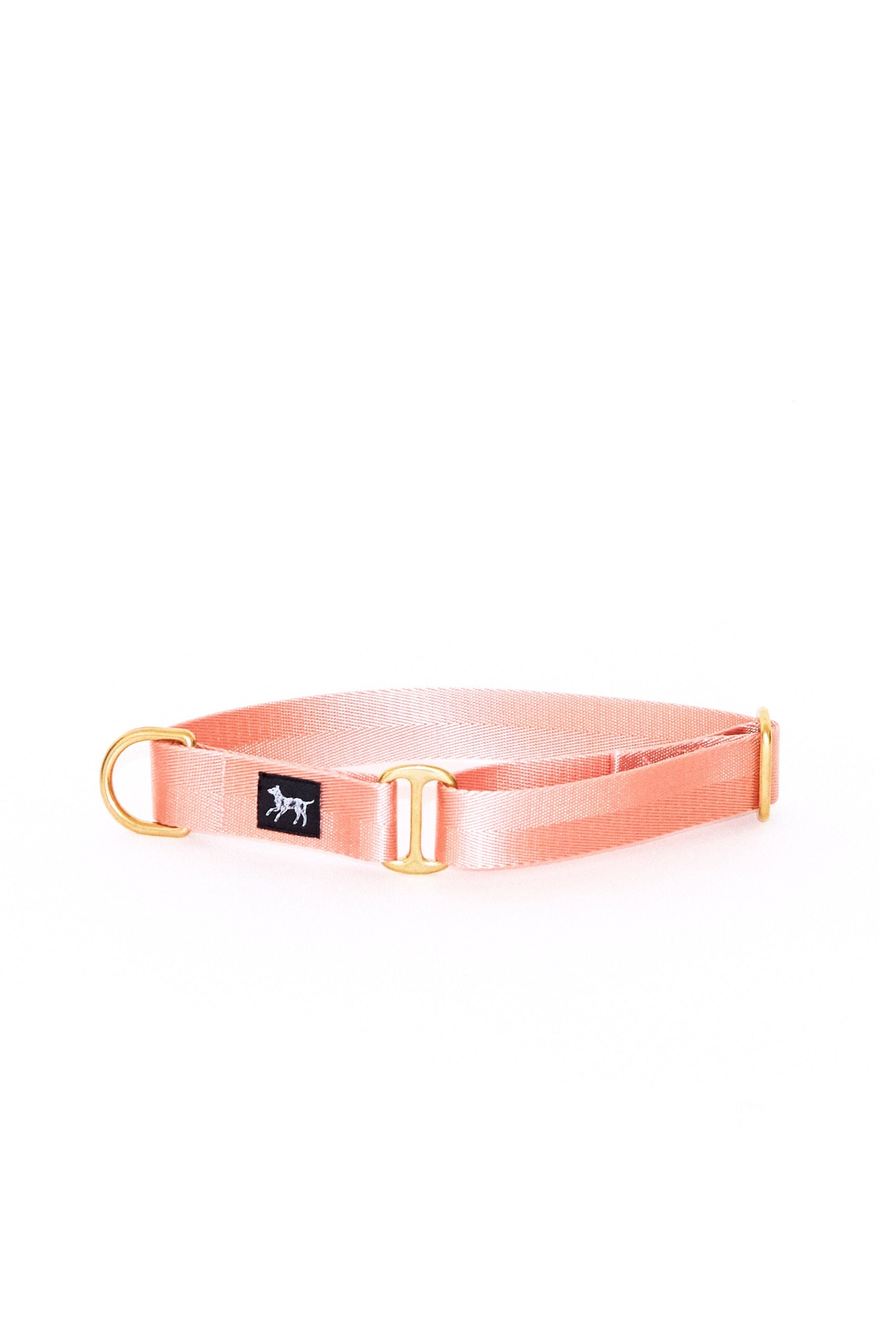 Collier Mâtin Dogs - Slide-On Rose