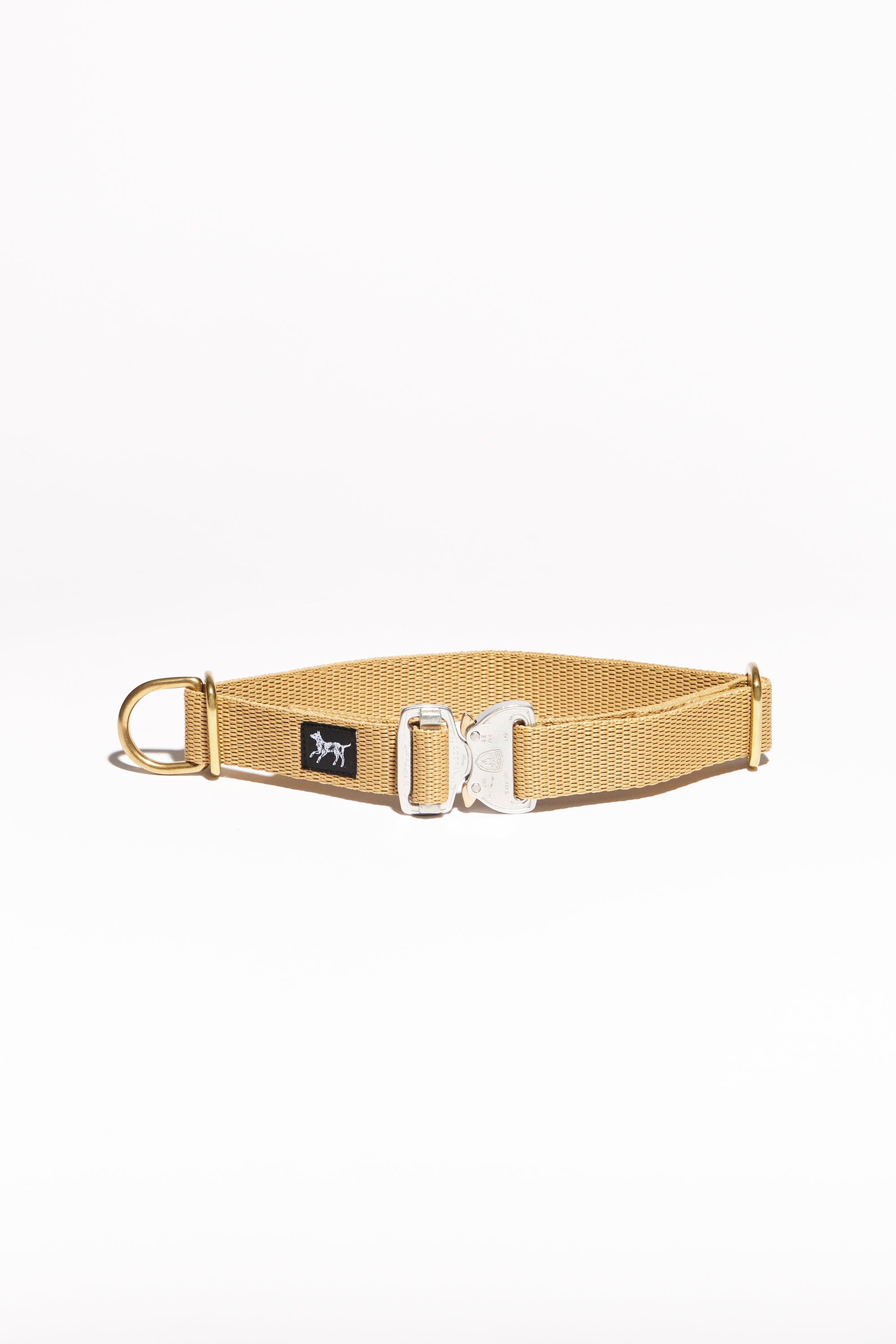 Collier Mâtin Dogs - Beige Laiton