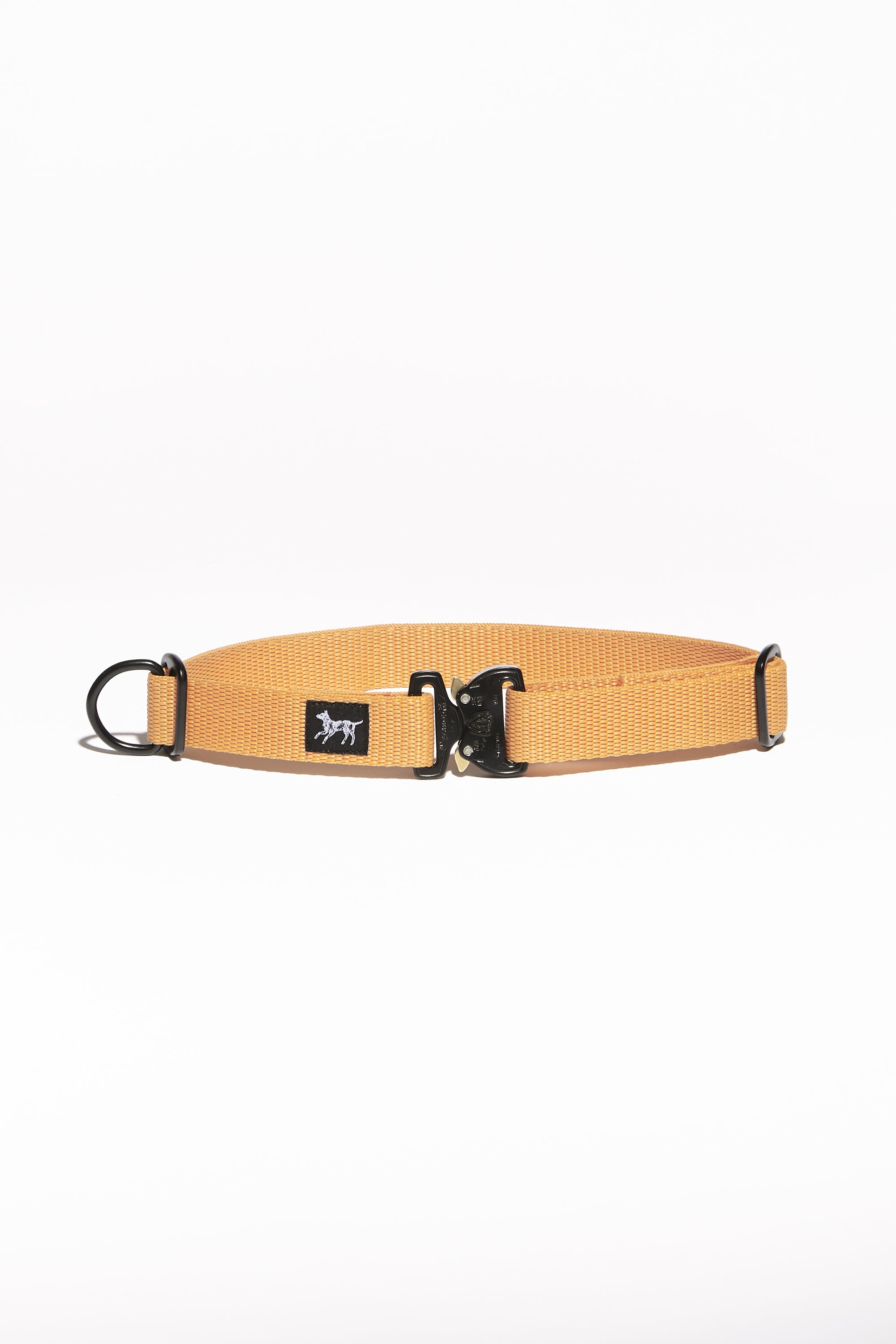 Collier Mâtin Dogs - Beige