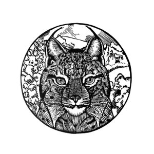 Iberian Lynx
