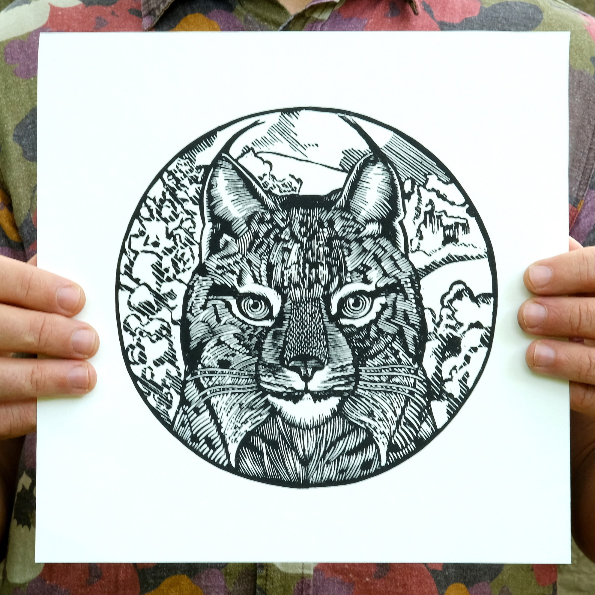 Iberian Lynx - Etsy