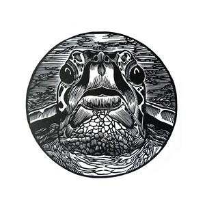Green Turtle