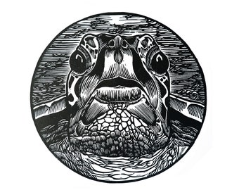 Green Turtle