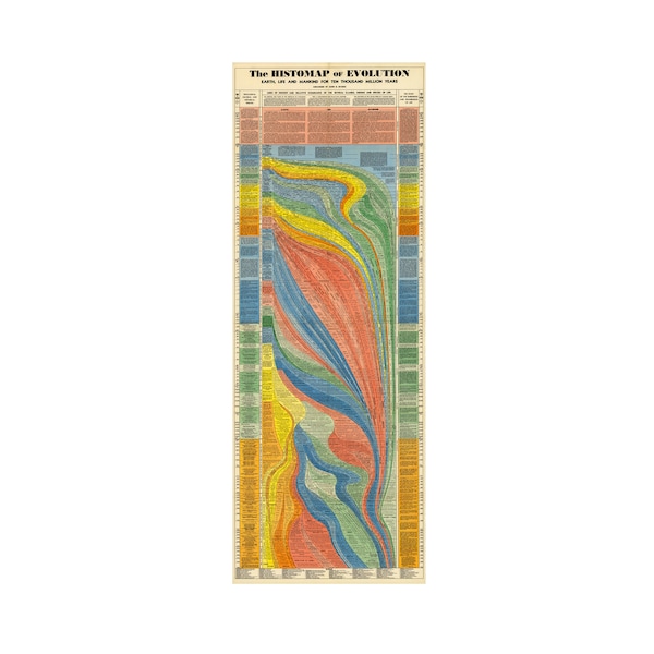 Histomap of Evolution Timeline Poster Chart - Gifts for Researchers - Visual Map Graph - Classroom Teacher Gifts - Educational Learning