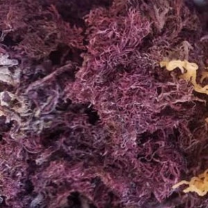 May include: A close-up of a pile of dried purple seaweed. The seaweed is a popular ingredient in Asian cuisine and is known for its health benefits.