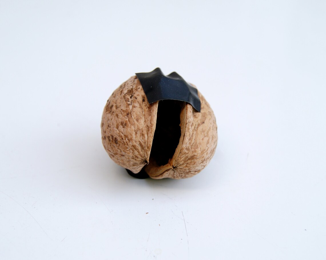 Walnut Shell Halves Paired Walnut Shell Box Natural Walnut Etsy UK